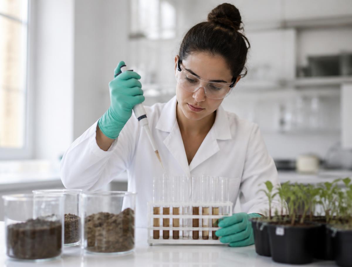 Análise enzimática de amostras de solo em laboratório